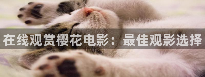 午马电影电影大全