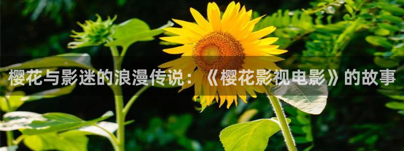 星空的背景图片