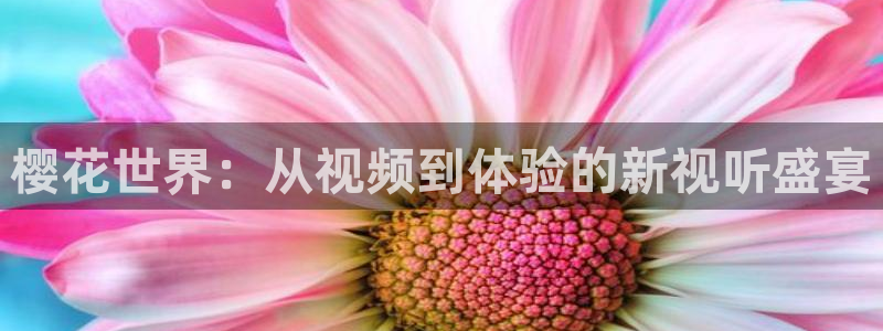 天美星空影视传媒