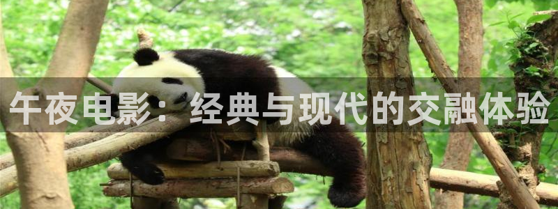 .午马电影