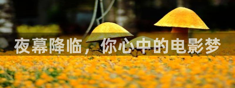 星空视频电影