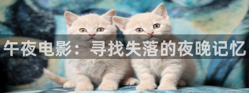 星空影视大全免费观看