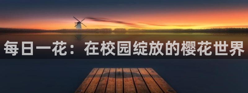 午马电影高清电影好看的电视剧繁花