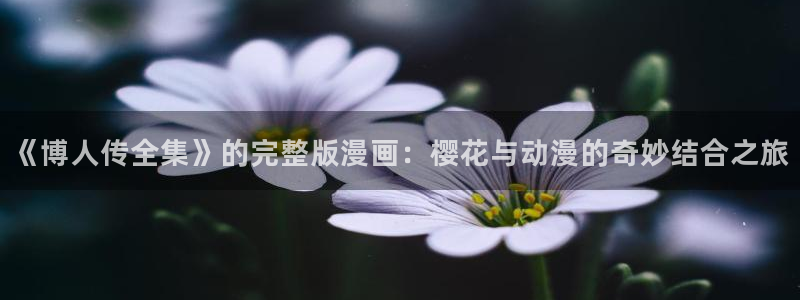 星空传媒影视在线播放