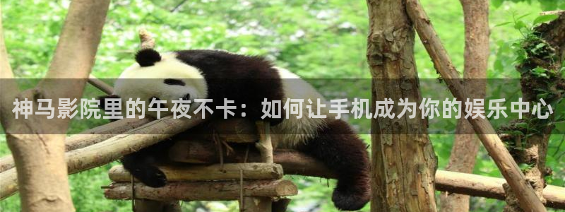 午马电影电视剧在线看入口免费