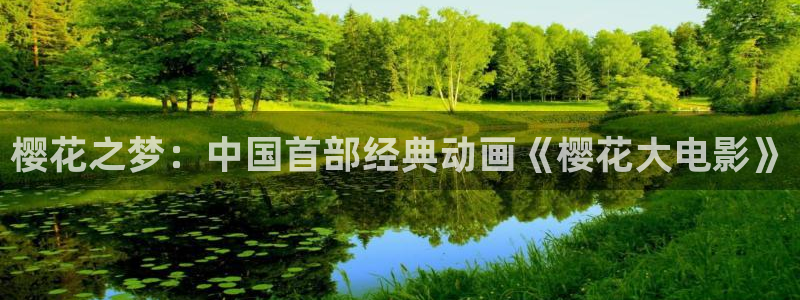 电影网 星空