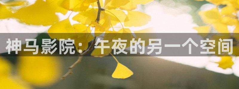 午马电影在线电影电视剧免费观看