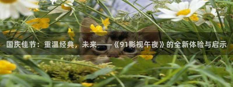 午马电影在线播放免费