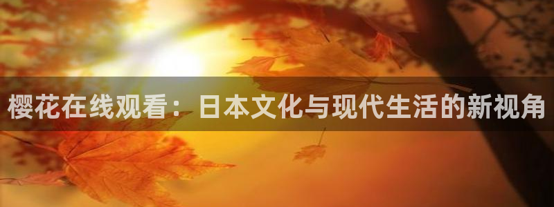 星空传媒高清