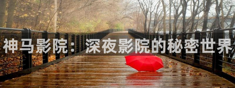 星空影视网下载app