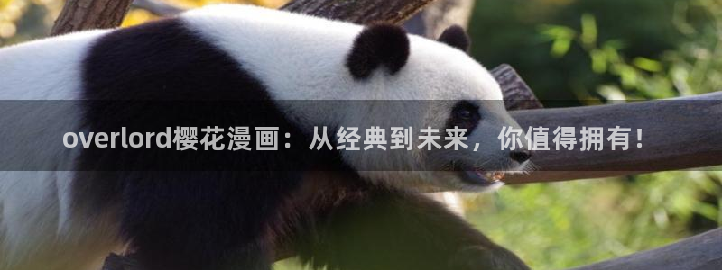 星空照