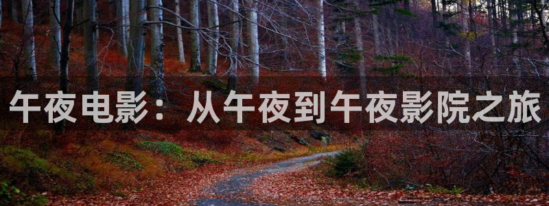 星空视频影视大全免费观看高清