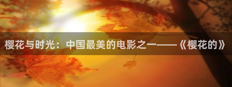 亮剑午马电影免费观看