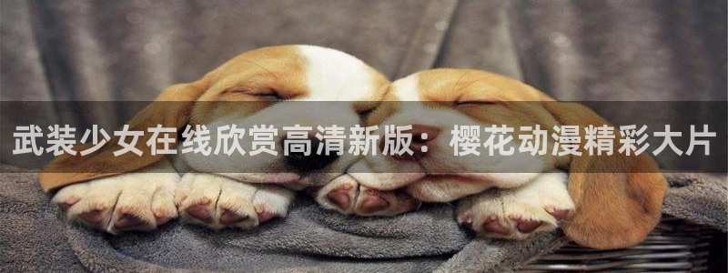 星空影视在线观看免费播放电视剧