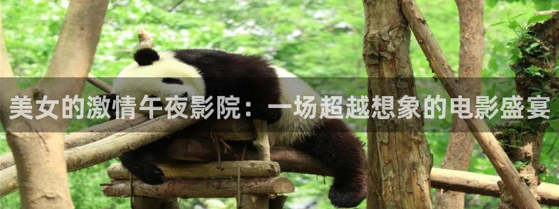 午马电影免费看电视