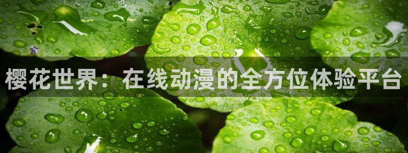 午马电影在线播放免费观看视频