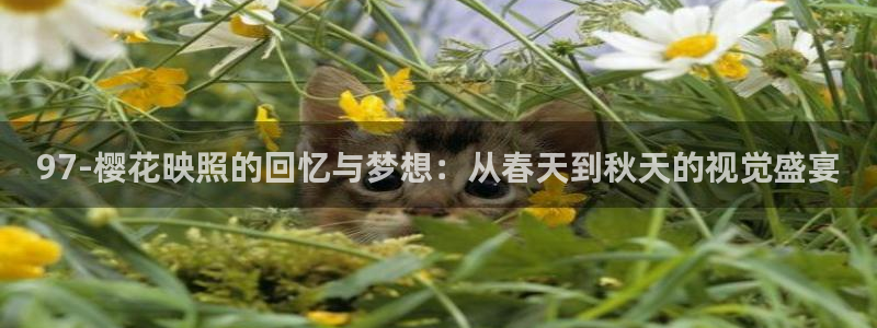星空在线观看全集免费高清