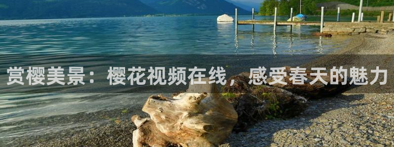 午马电影高清电影好看的电视剧推荐