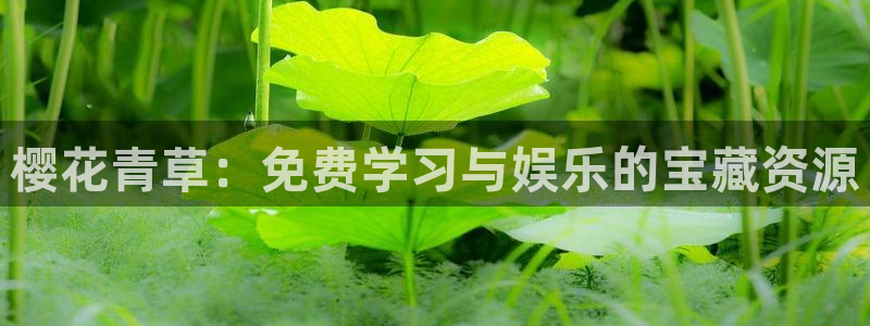大丈夫高清免费观看星空