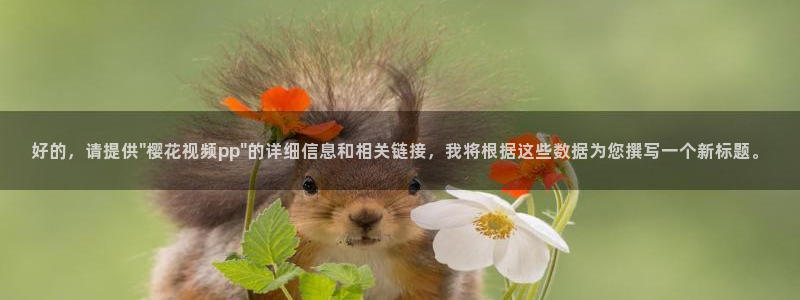 午马电影大全在线观看完整