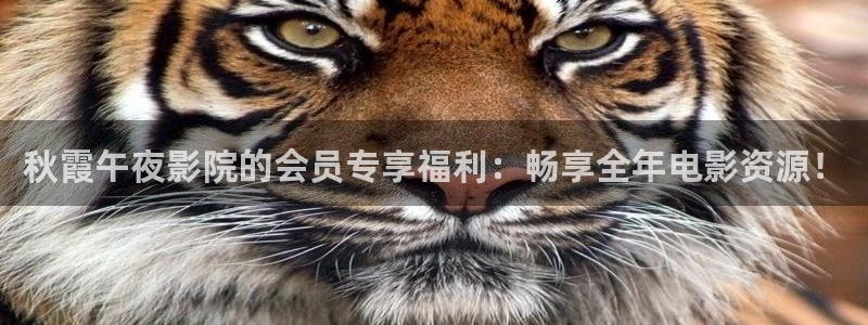 星空电影电影在线观看