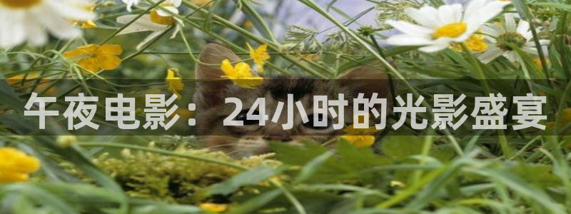 星空电影影院