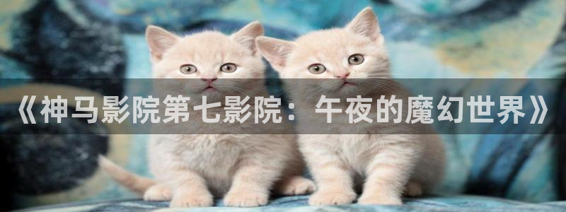 星空看片