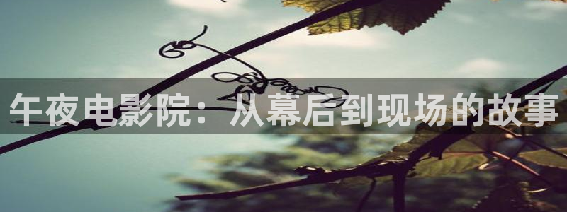 星空影视官网app