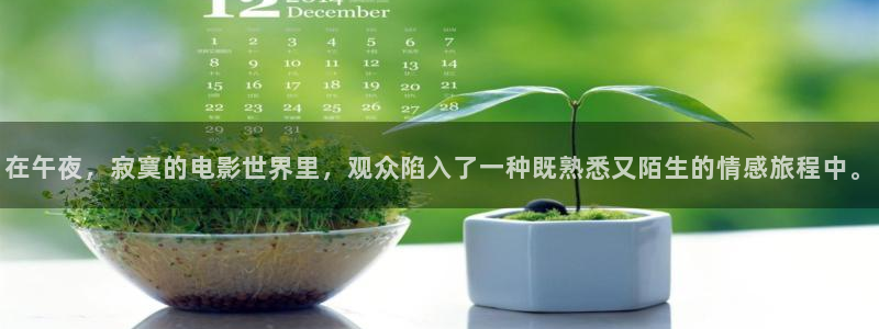 星空影视在线观看免费全集