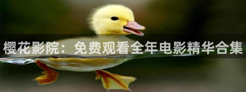 午马电影在线看
