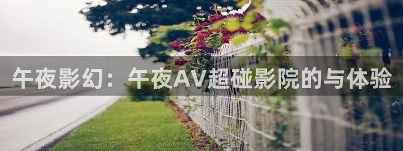 星空影视官网app