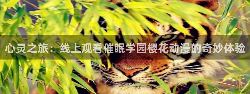 电影星空里的拼图
