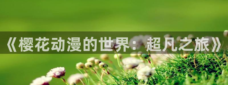 斗罗大陆漫画完整免费观看星空影视