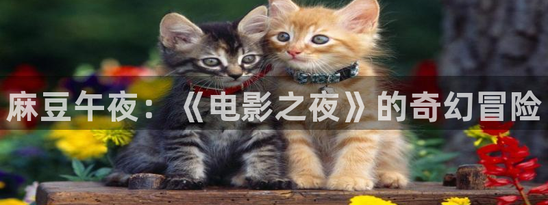 六盘水午马电影影讯