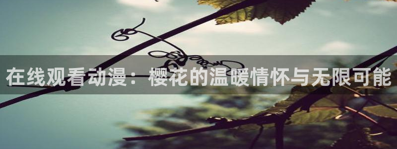 午马电影影视在线