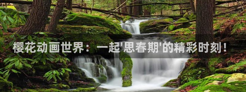 午马电影手机版
