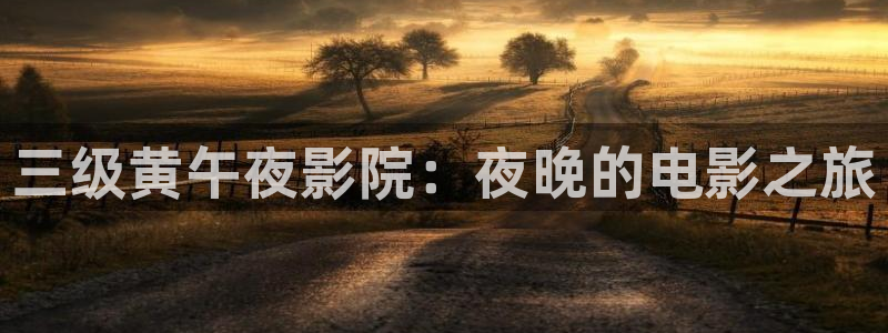 星空影视网下载