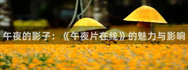 星空糖心
