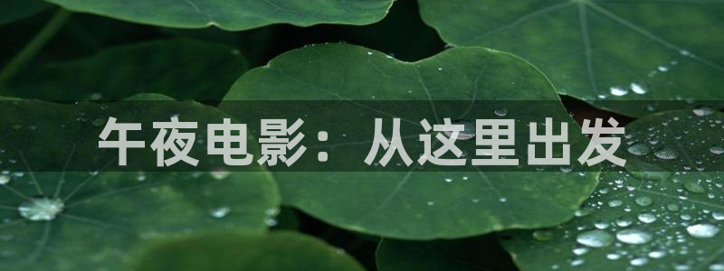 星空无限影视传媒