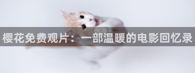 午马电影2026
