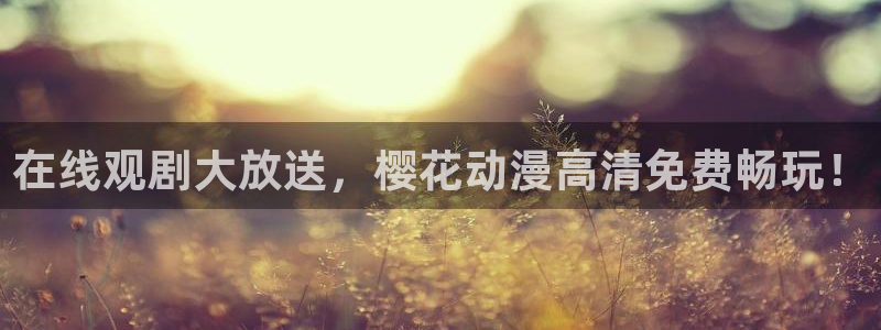 午马电影最新电视剧免费播放