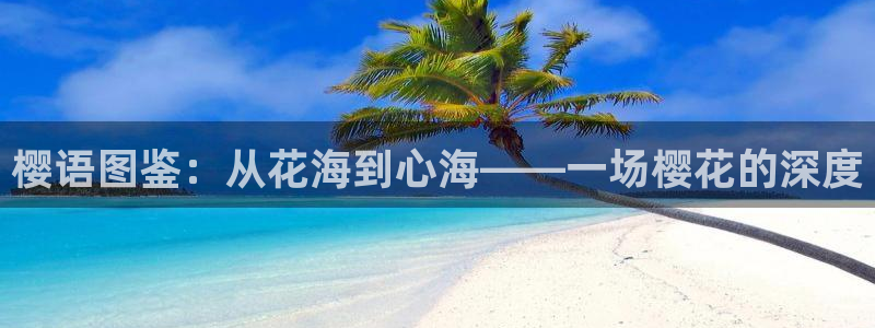 午马电影免费观看电影2024年上映