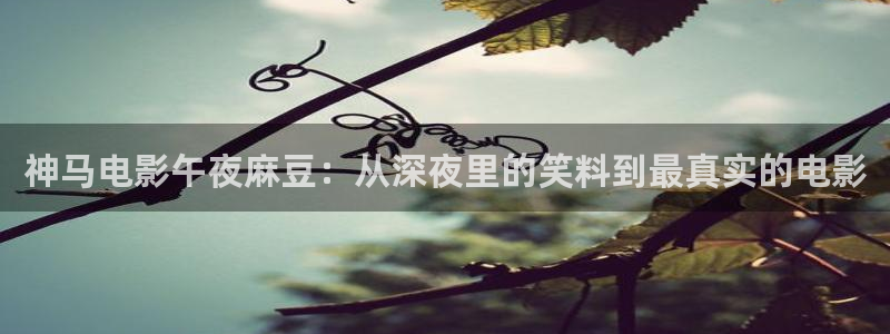 午马电影大全免费观看电视剧电影