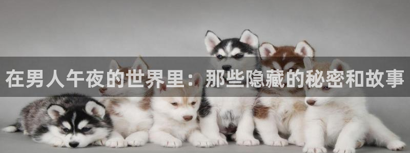 星空影视免费观看电影