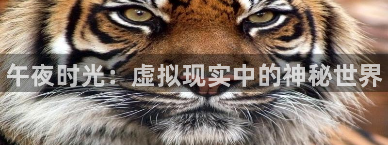 午马电影电影官网